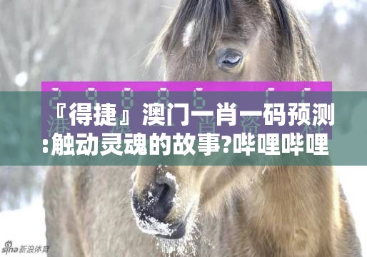 『得捷』澳门一肖一码预测:触动灵魂的故事?哔哩哔哩官网