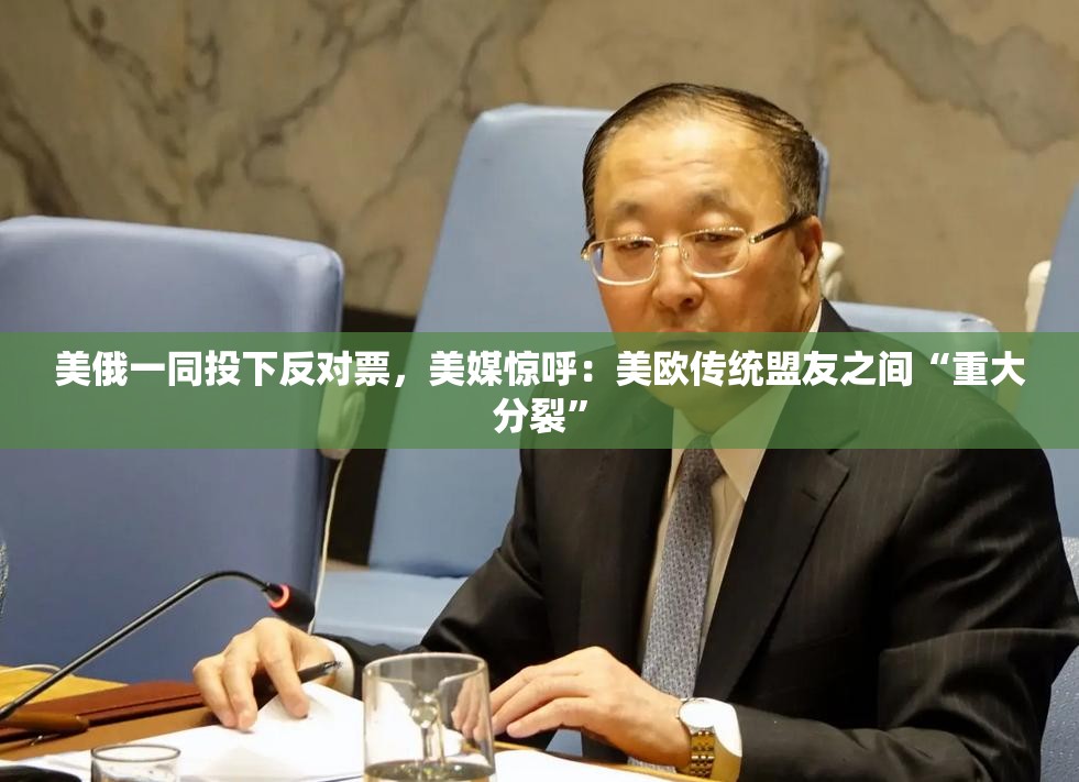 美俄一同投下反对票，美媒惊呼：美欧传统盟友之间“重大分裂”